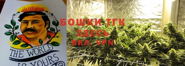 винт Богданович