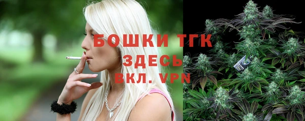 винт Богданович