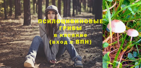 винт Богданович