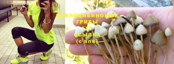 MESCALINE Богородицк