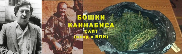 дживик Богородск