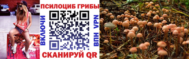мега как зайти  цена наркотик  Волчанск  Галлюциногенные грибы ЛСД 